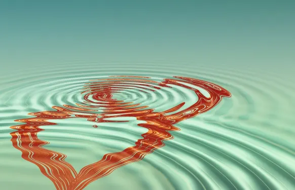 암드벳 카지노 지원